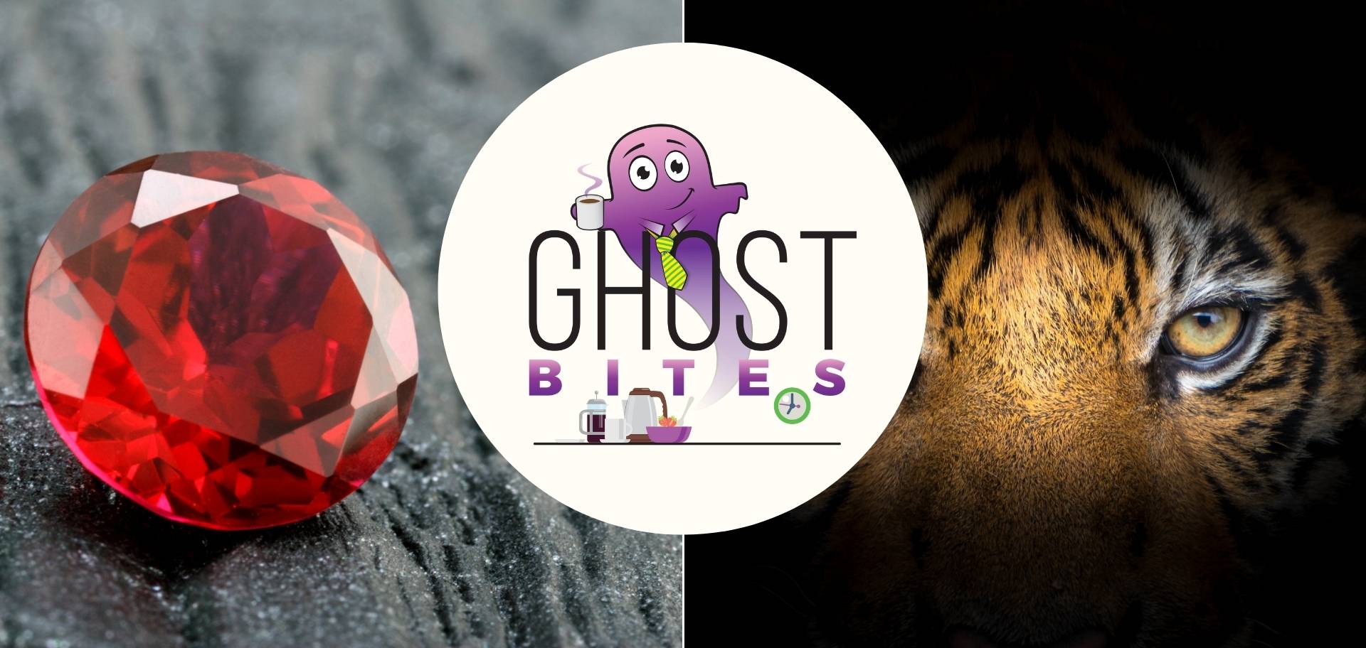 Ghost Bites (Ascendis | Gemfields | Remgro | Tiger Brands)