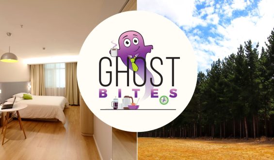 Ghost Bites (Bytes | City Lodge | Sasfin | York)