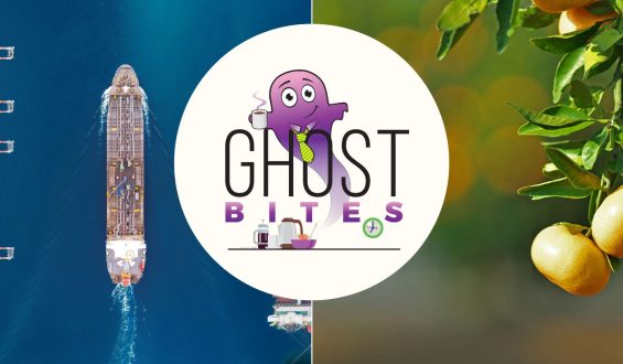 Ghost Bites (Grindrod Shipping | Steinhoff | Spear | Zeder)