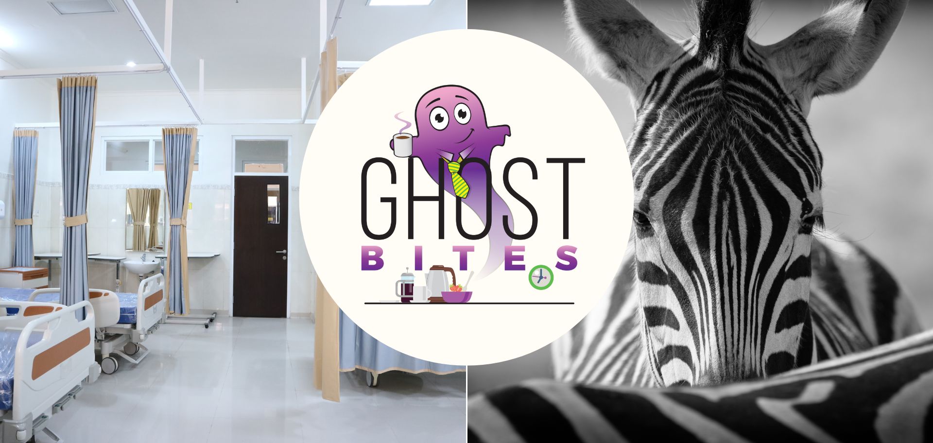 Ghost Bites (Harmony Gold | Investec | Life Healthcare | Netcare | NEPI Rockcastle)