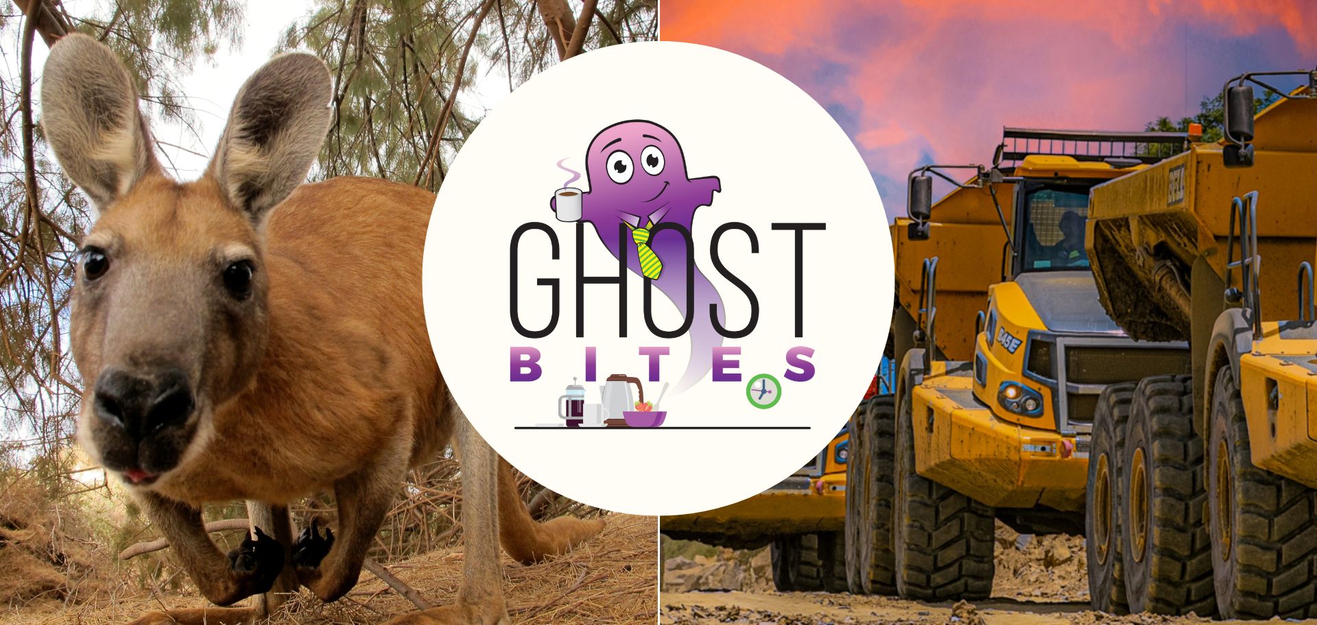 Ghost Bites (Bell Equipment | Equites Property Fund | Jubilee Metals | KAP | Woolworths)