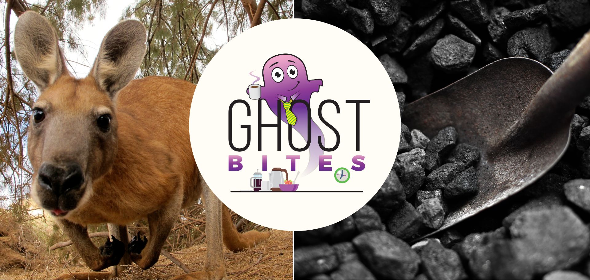 Ghost Bites (ADvTECH | Datatec | Fairvest | Gemfields | Murray & Roberts | Premier Group + Brait | Remgro + Distell + Mediclinic | Tharisa | Thungela | Vukile | Woolworths)