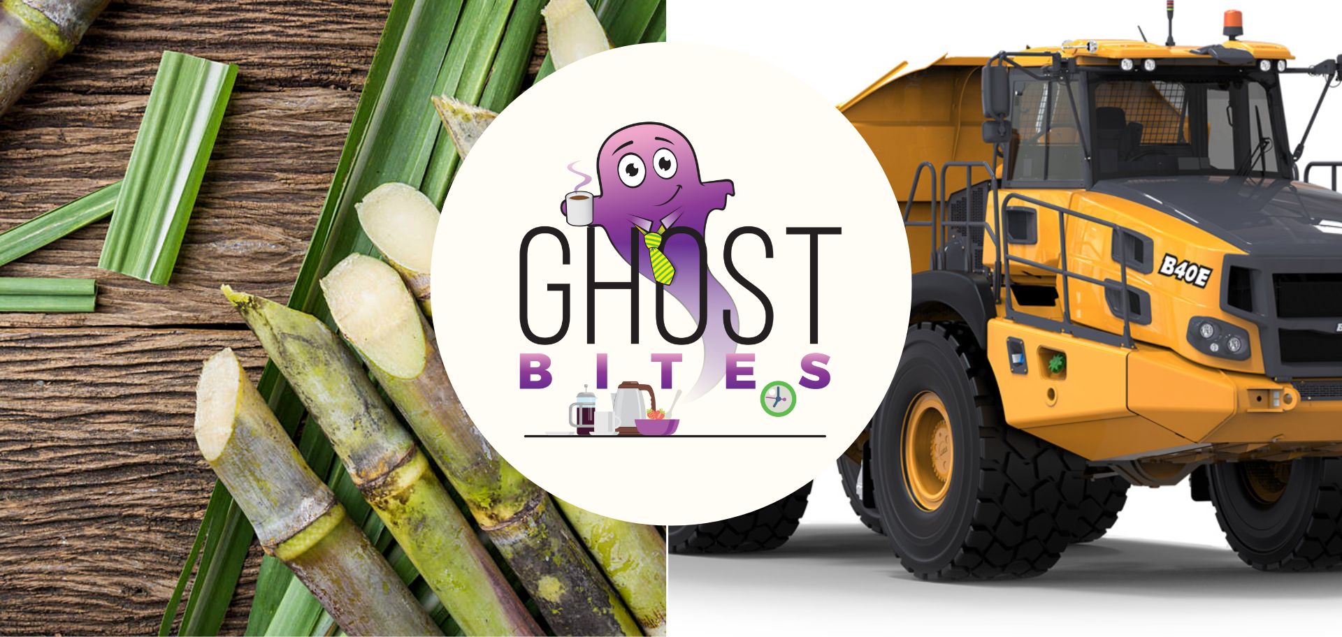 Ghost Bites (Absa | Advanced Health | Bell Equipment | Capital Appreciation | Kore Potash | OUTsurance | Renergen | Tongaat Hulett)