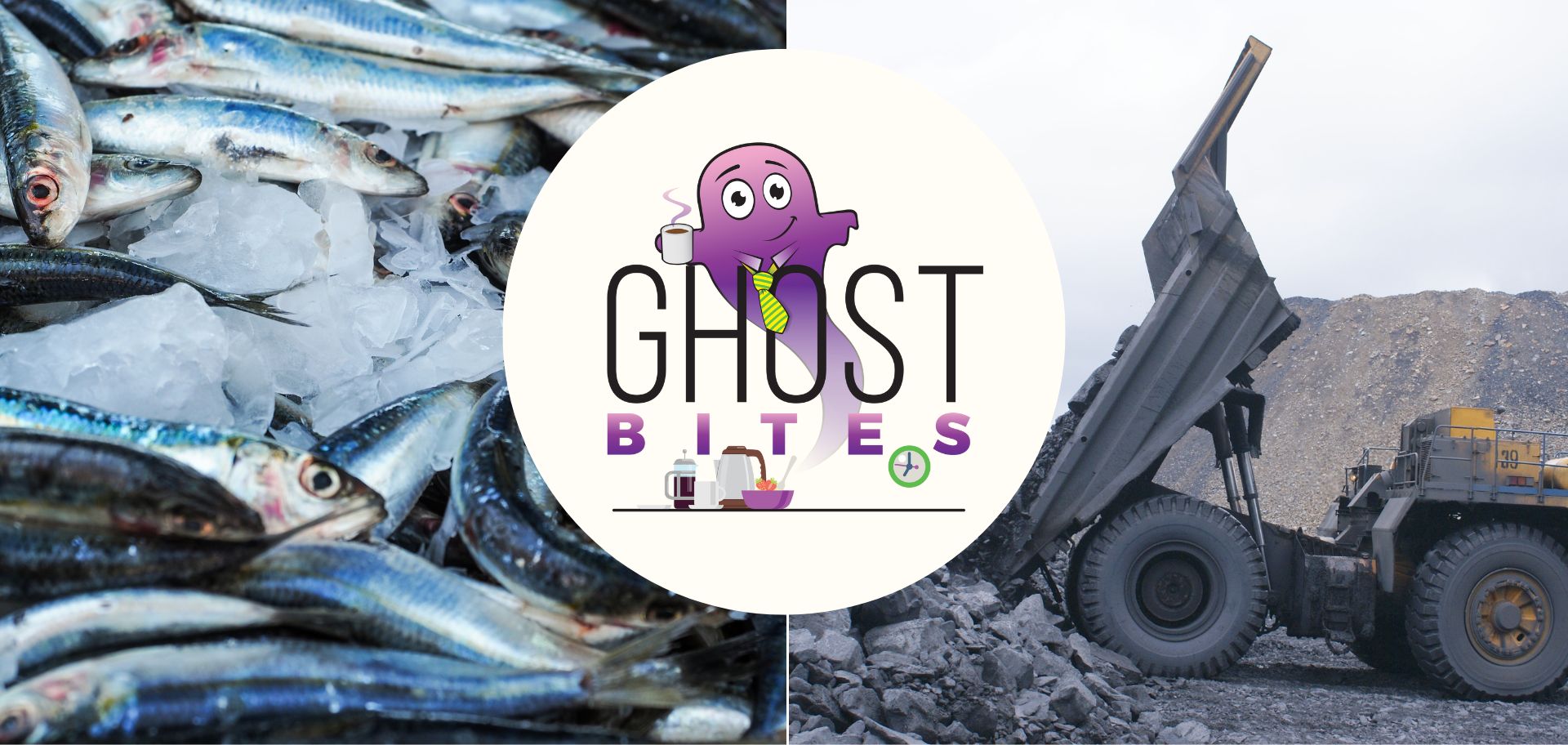Ghost Bites (AEEI | RMB Holdings | Sea Harvest | Thungela)