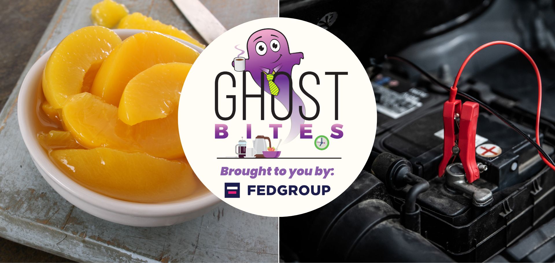 Ghost Bites (Absa | EPE Capital Partners | Lighthouse | Metair | Remgro | RFG Holdings)