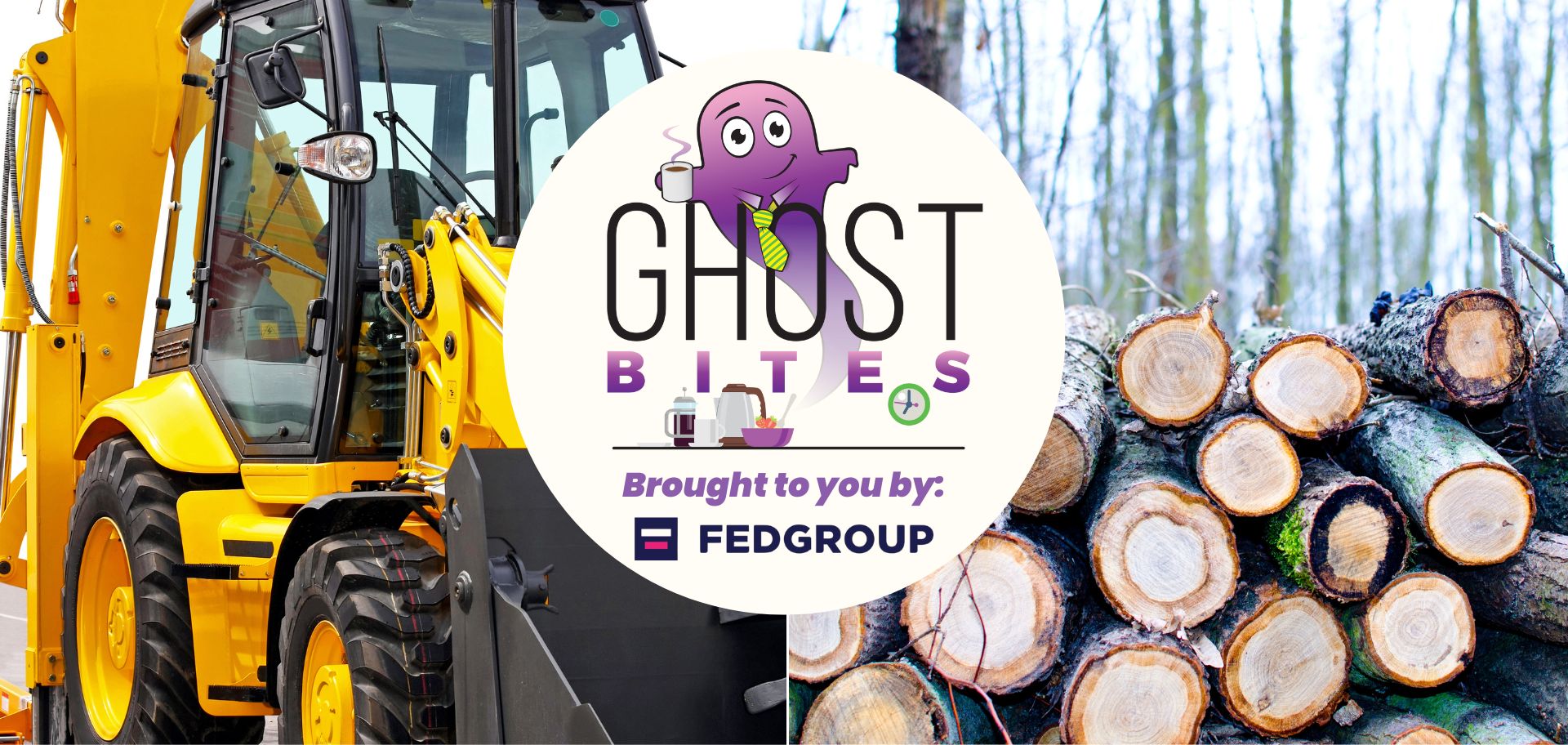 Ghost Bites (Ascendis | Bell Equipment | Emira | Heriot | Renergen | RMB Holdings | Workforce | York Timber)