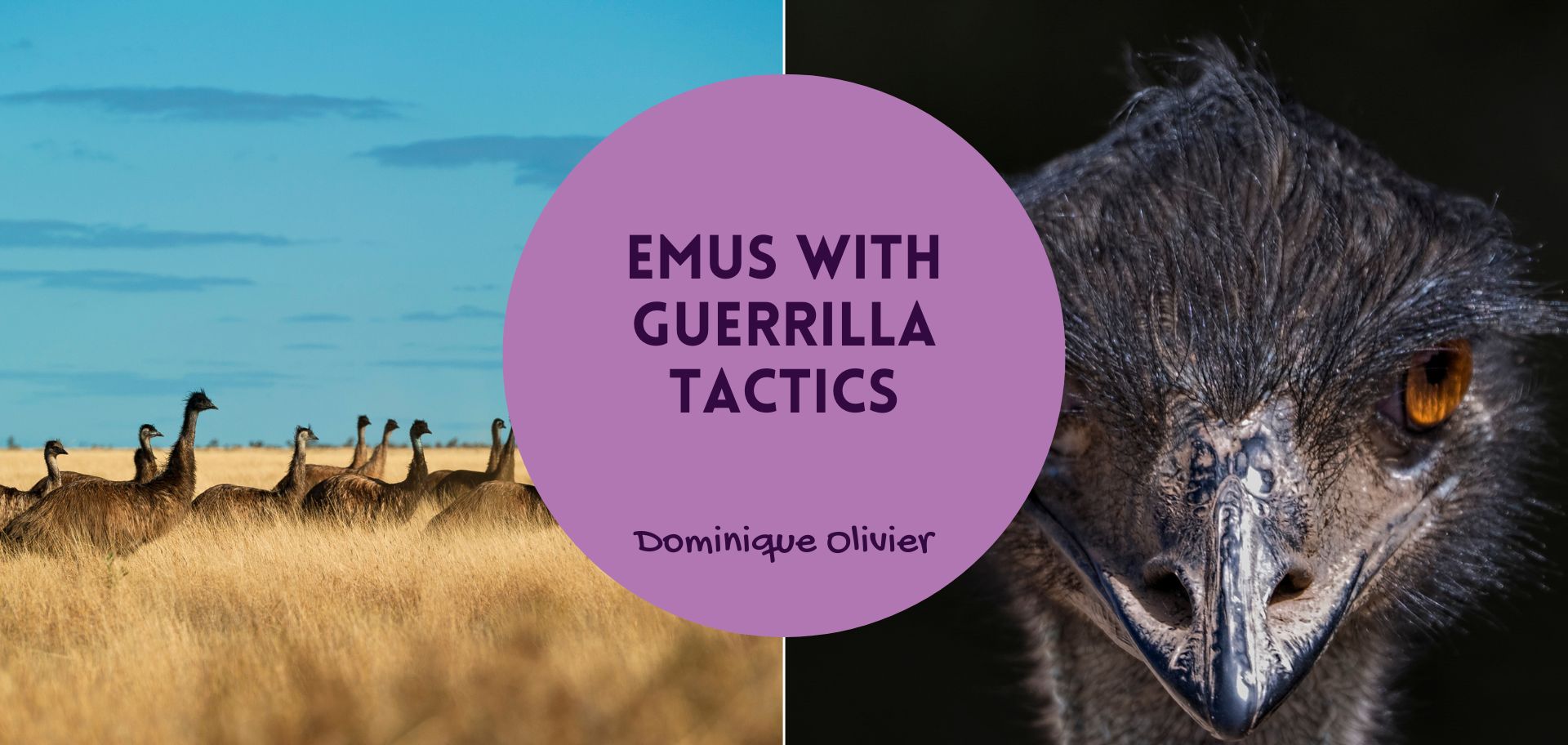 Emus with Guerrilla Tactics