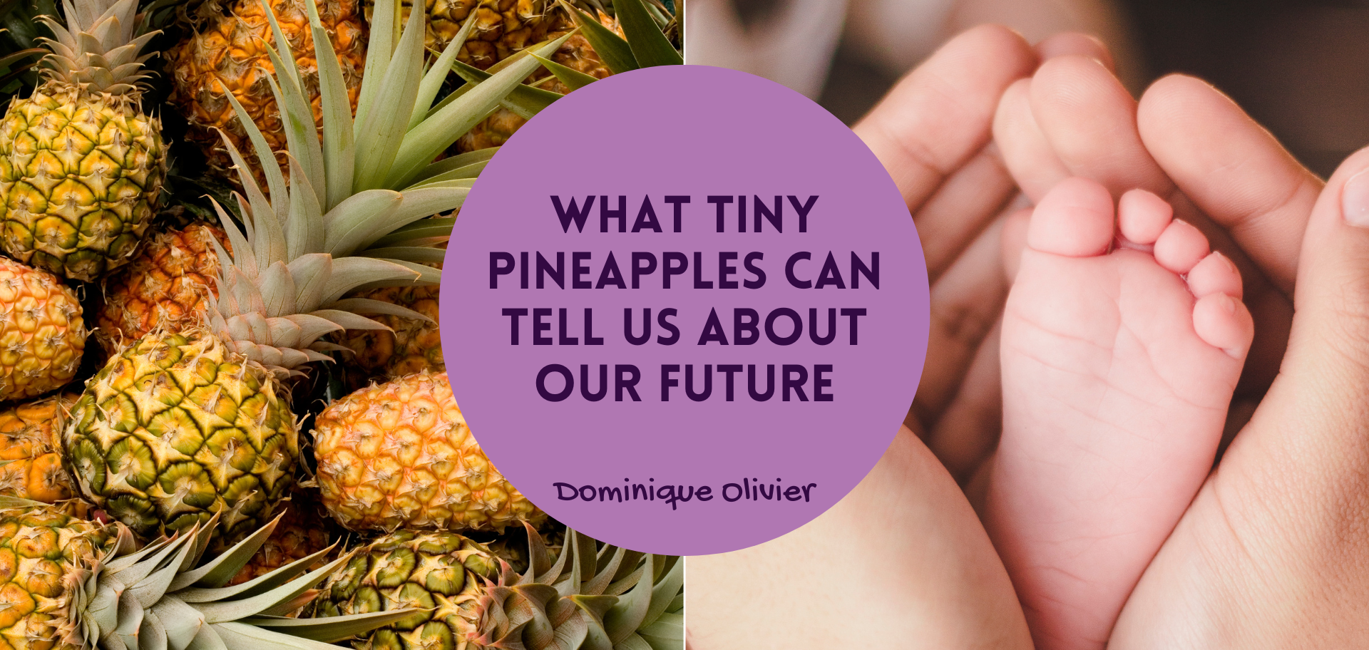 What tiny pineapples can tell us about our future