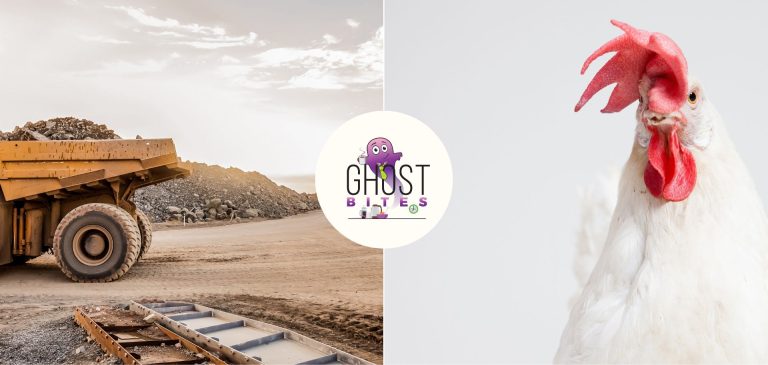 GHOST BITES (African Rainbow Minerals | Exxaro | Putprop | Rainbow Chicken)