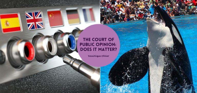 The court of public opinion: does it matter?