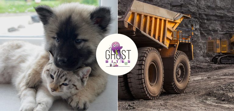 Ghost Bites (Altvest | AngloGold Ashanti | Bell Equipment | Hyprop | Momentum | Raubex | Sabvest | Sirius Real Estate | Sygnia | Telkom)
