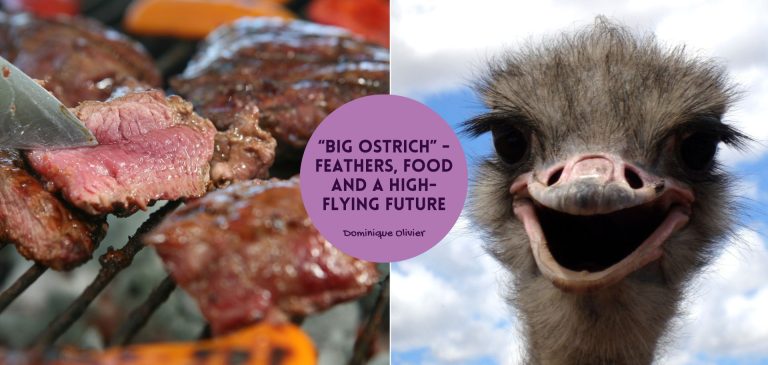 “Big Ostrich” – Feathers, food and a high-flying future