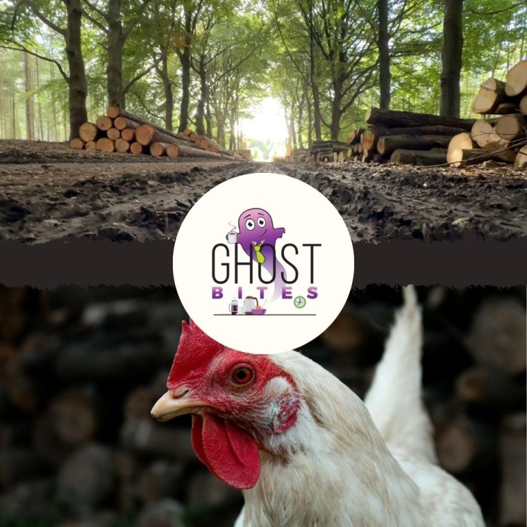 Ghost Bites (Astral Foods | Glencore | KAP | MTN Ghana)