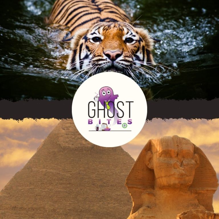 Ghost Bites (Exemplar REITail | Octodec | Omnia | PPC | Raubex | Shoprite | Sibanye-Stillwater | Telkom | Tiger Brands | Vodacom)