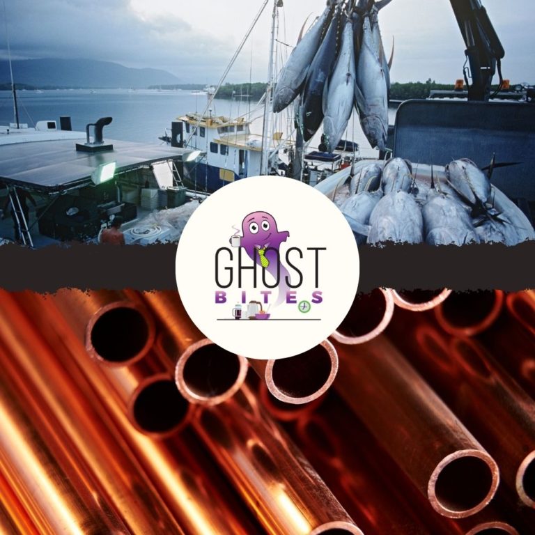 Ghost Bites (Harmony Gold | Invicta | Netcare | Oceana | PPC | Prosus – Naspers | Stefanutti Stocks)