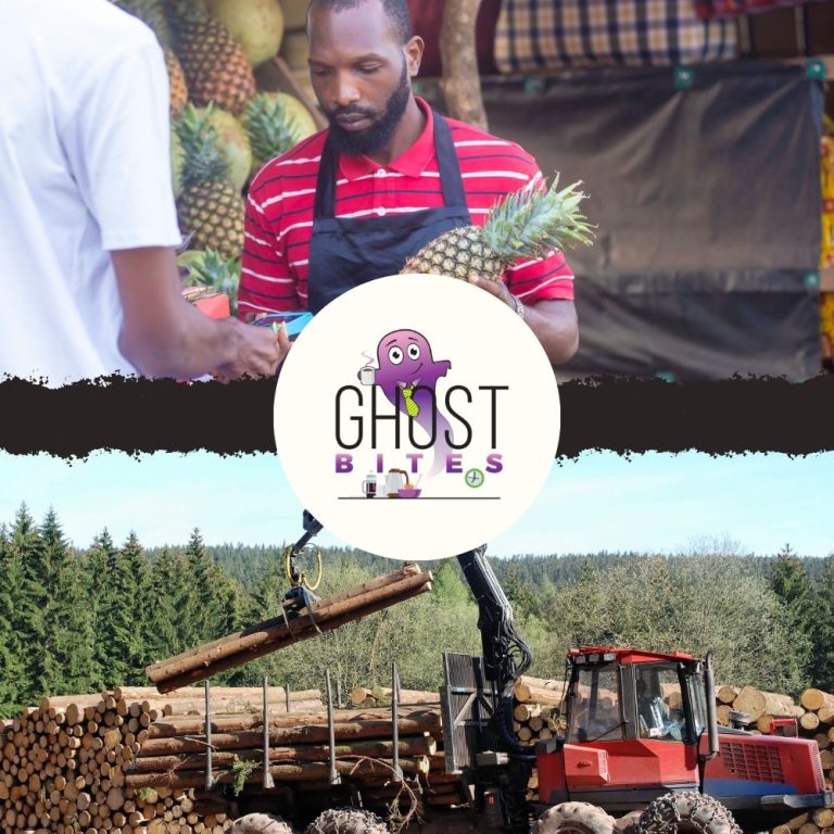 Ghost Bites (Lesaka Technologies | Motus | Purple Group | SA Corporate Real Estate | Sappi | Sibanye-Stillwater | Transpaco | Truworths | Vodacom)