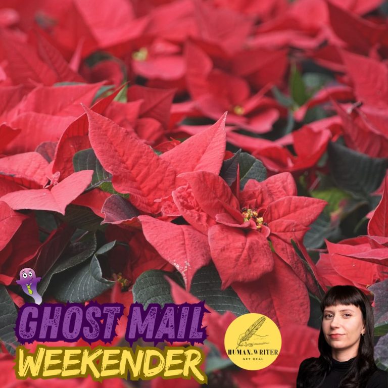 The plant that monopolised Christmas