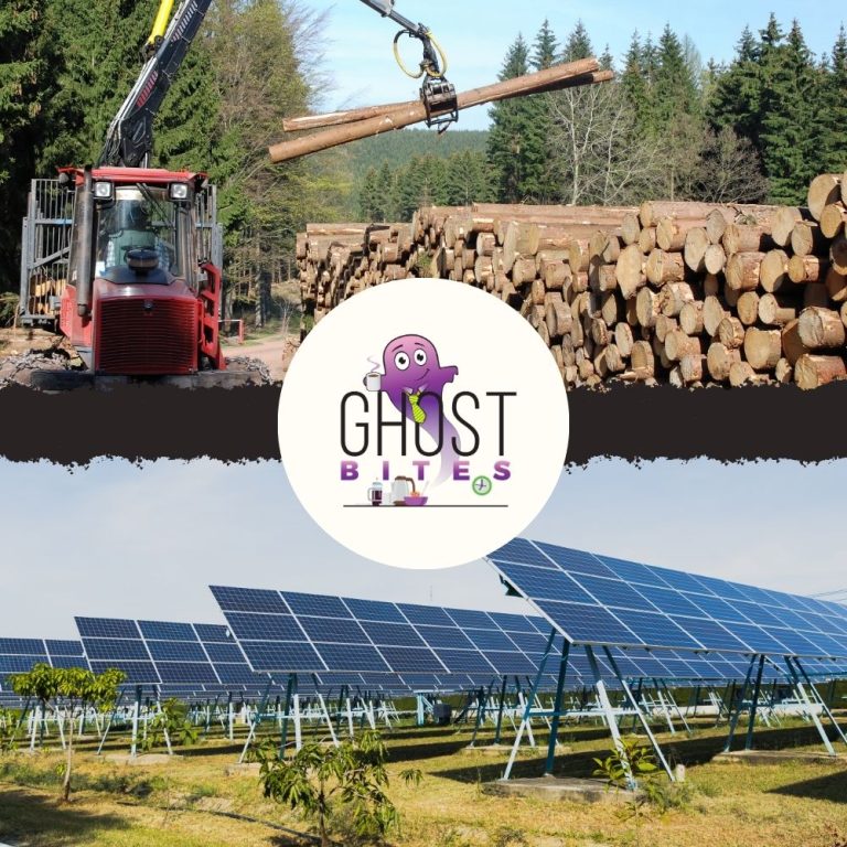 Ghost Bites (Mahube Infrastructure | MC Mining | MTN Uganda | Remgro | SA Corporate Real Estate | Texton | York Timber)