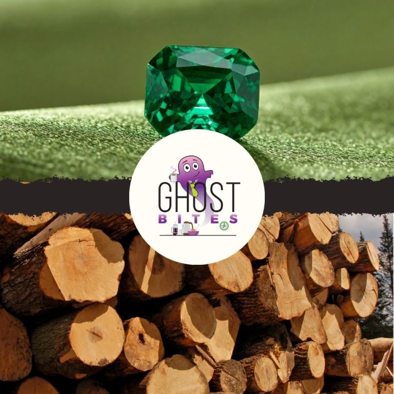 Ghost Bites (CA Sales | Exemplar REITail | Gemfields | Standard Bank | Trematon | York Timber)