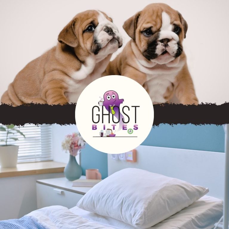 Ghost Bites (African Rainbow Minerals | Datatec | Emira | Hyprop | Jubilee Metals | Master Drilling | RCL Foods | Remgro | Sephaku Holdings)