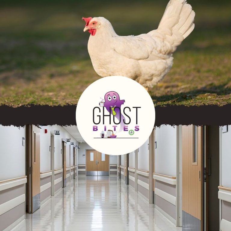 Ghost Bites (Astral Foods | MTN Ghana | Primary Health Properties)