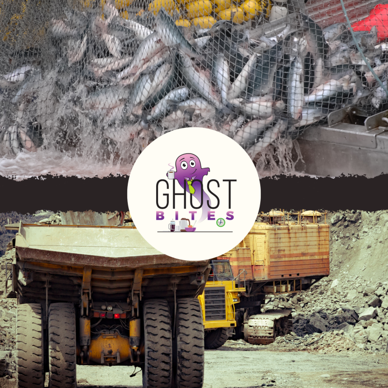 Ghost Bites (4Sight Holdings | Afrimat | Investec | Nampak | Netcare | Oceana | Pick n Pay | Sanlam | Spear REIT | Tharisa)