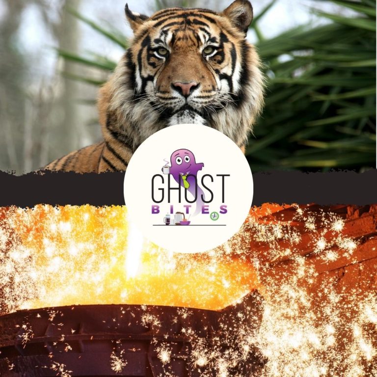 Ghost Bites (Copper 360 | Merafe | Momentum | Pan African Resources | Sirius Real Estate | Tiger Brands)